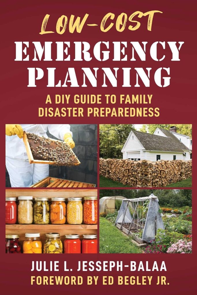 Low-Cost Emergency Planning: A DIY Guide to Family Disaster Preparedness Paperback – November 7, 2023